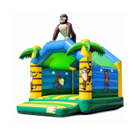Jungle fun
