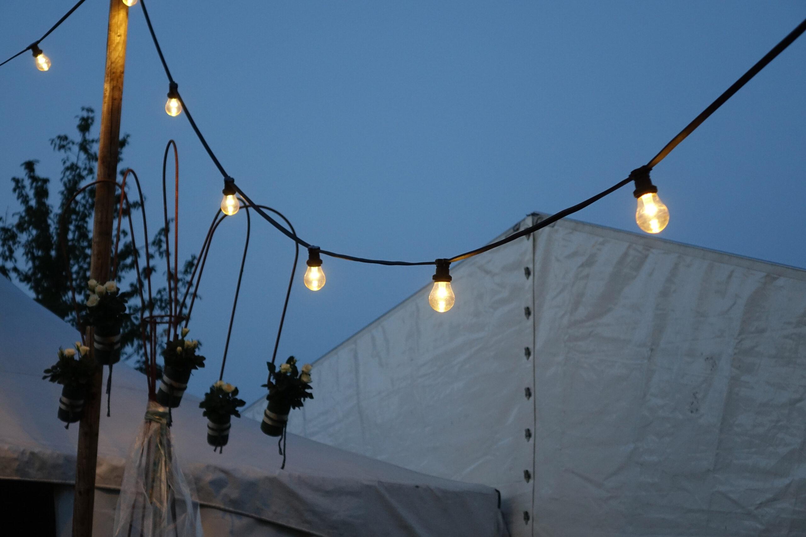 Graan versieren Precies Feestverlichting LED Prikkabel | Party Verhuur Tacken |  Horst-Venray-Venlo-Deurne